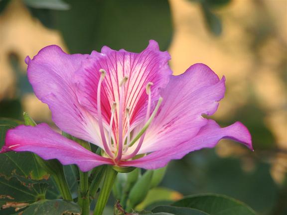 ���� ���� - ���� ����